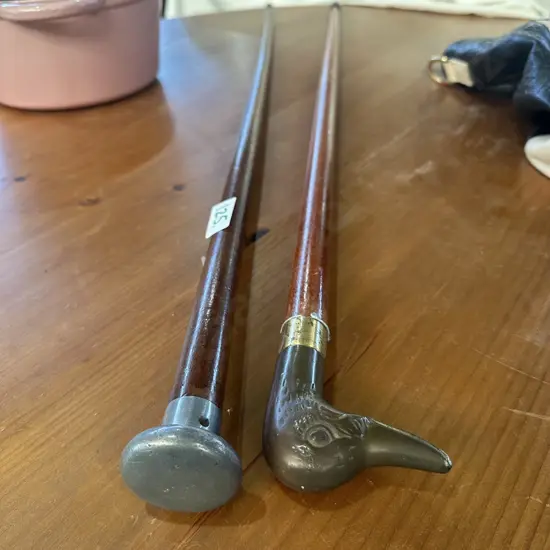 Two walking sticks