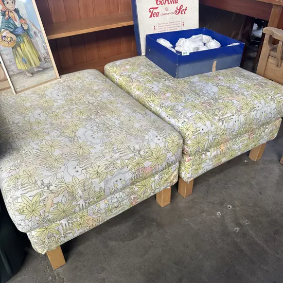 Pair foot rests