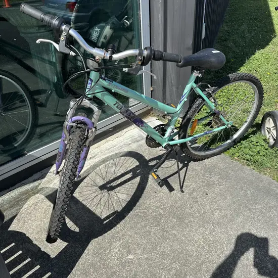 ladies bike