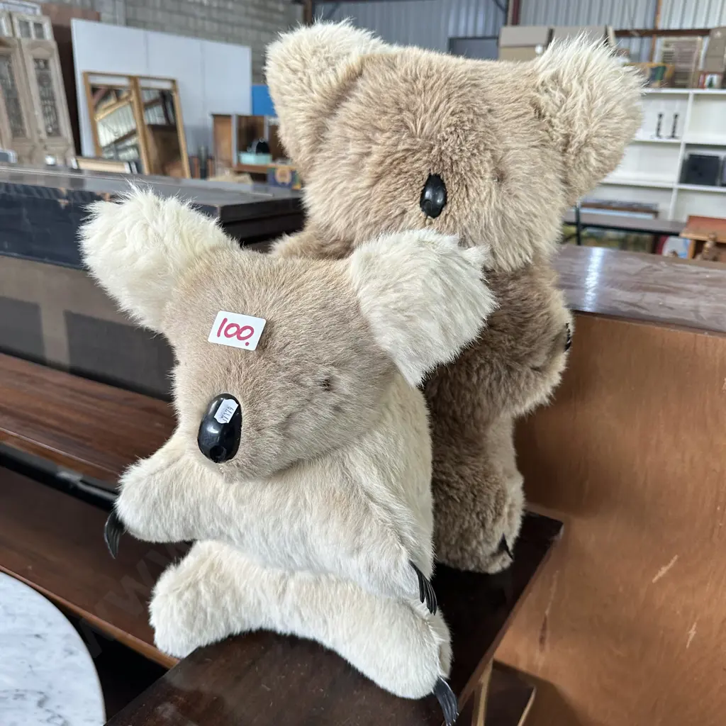 Two Koalas Image 1++