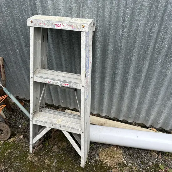 Buddy step ladder