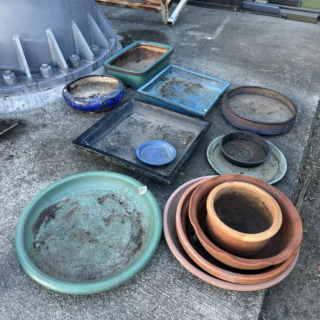 planters and trays Image 1++