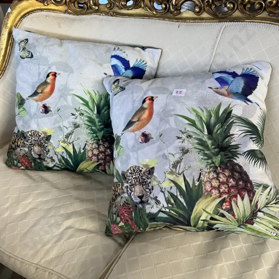 Pr cushions