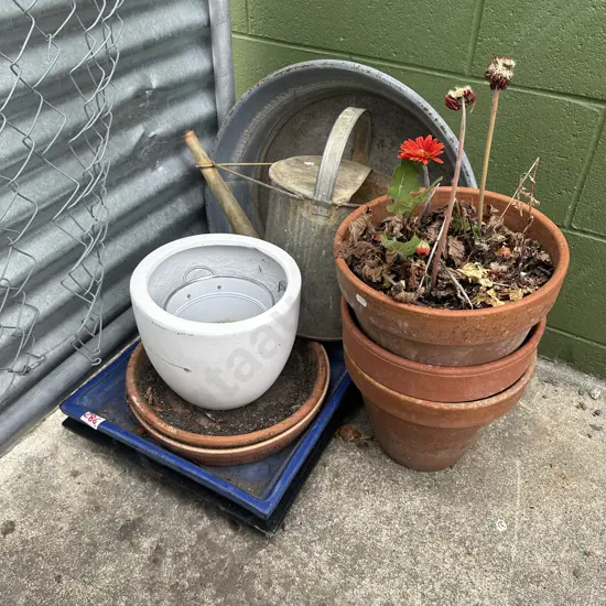 trays, pots etc