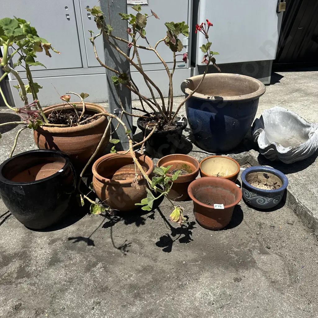 Collection of pots and planters. Image 1++