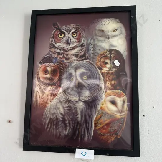 holographic owls