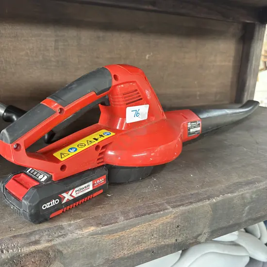 leaf blower, working but needs charger