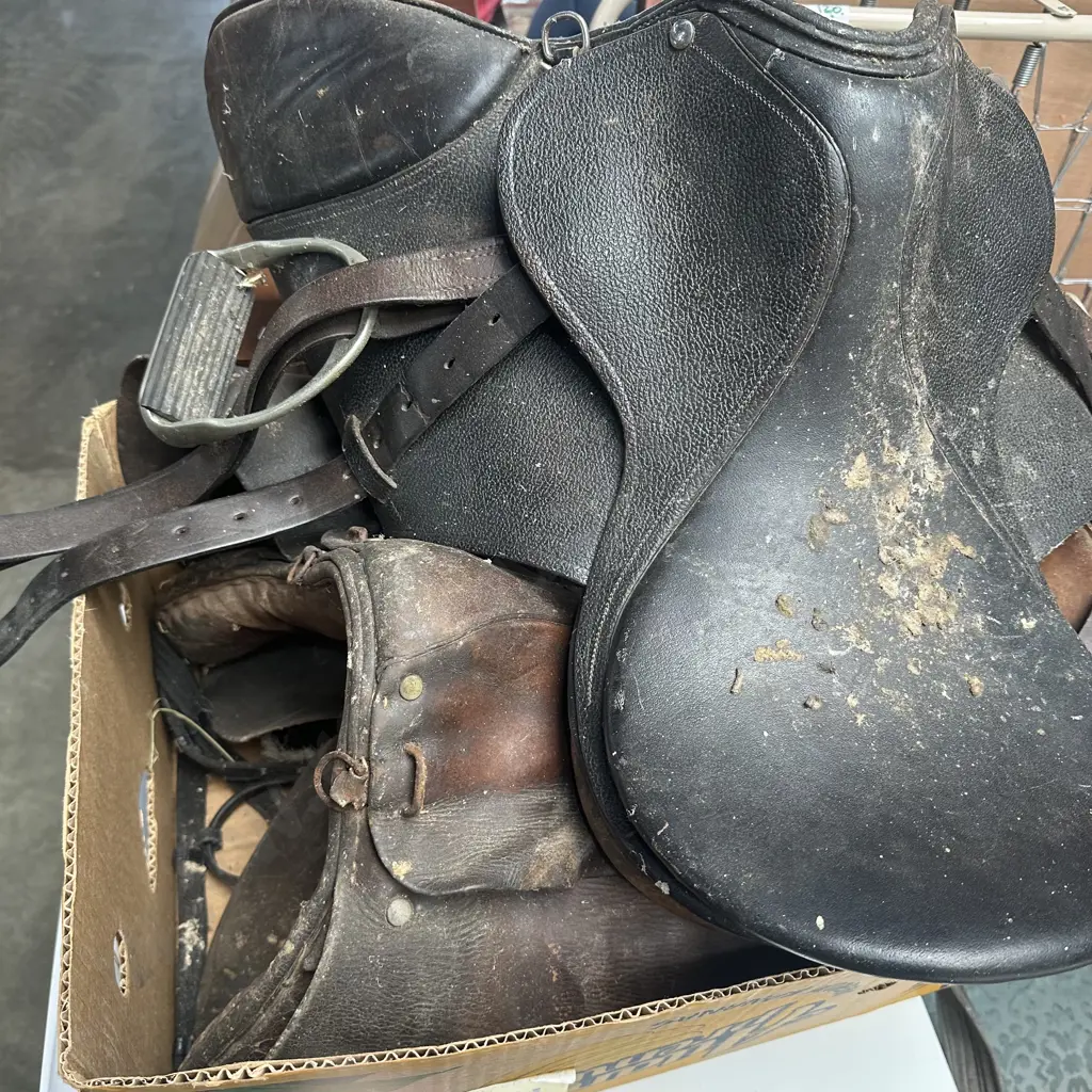3 saddles Image 1++