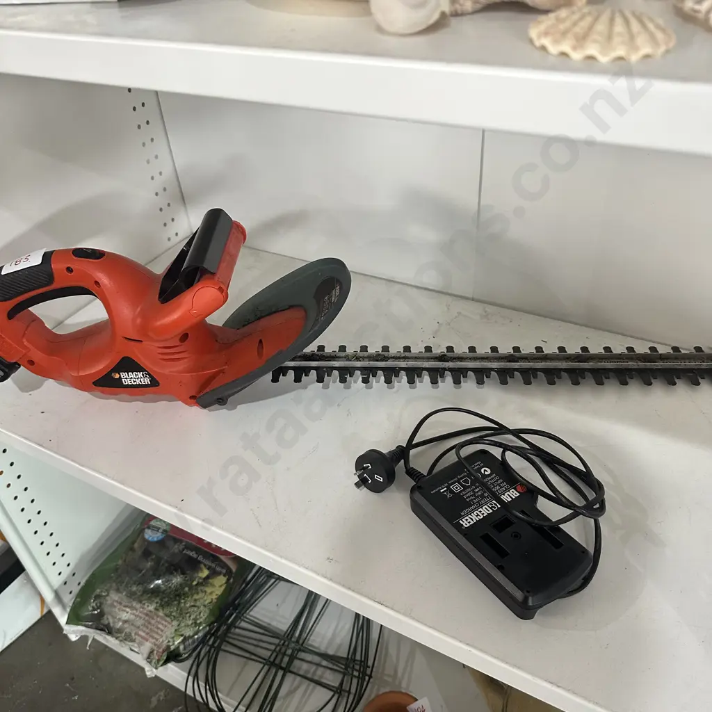 battery hedge trimmer Image 1++