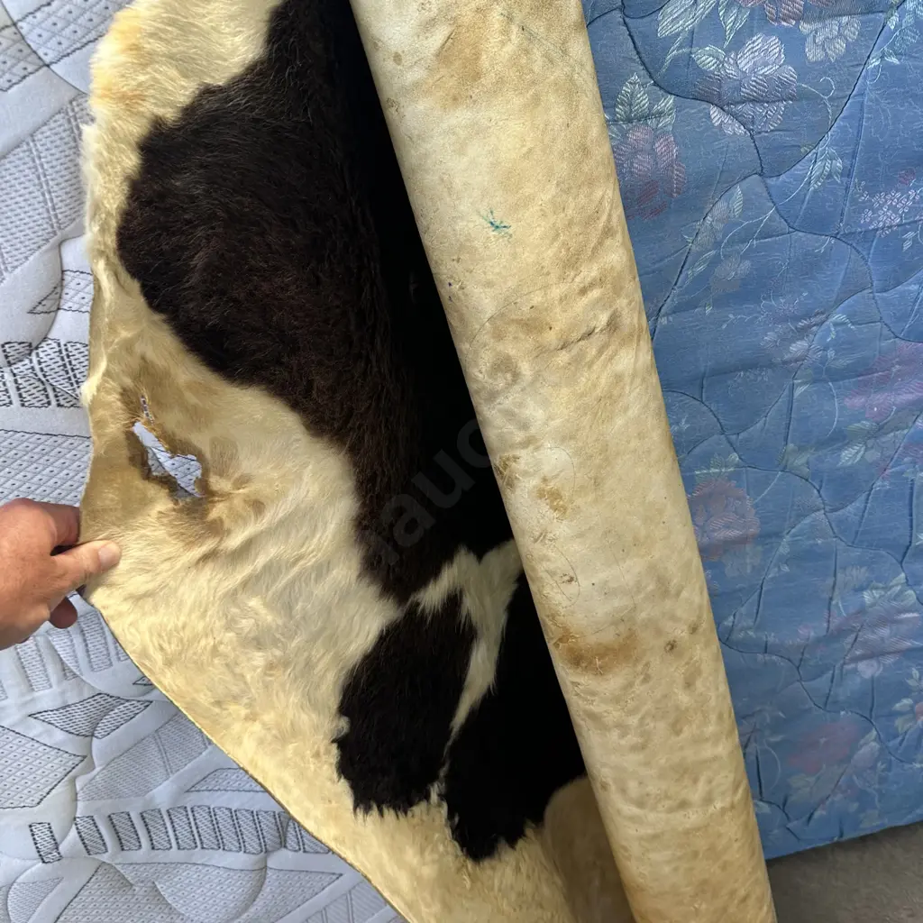 cow hide rug (hard to roll out, rather stiff) Image 1++