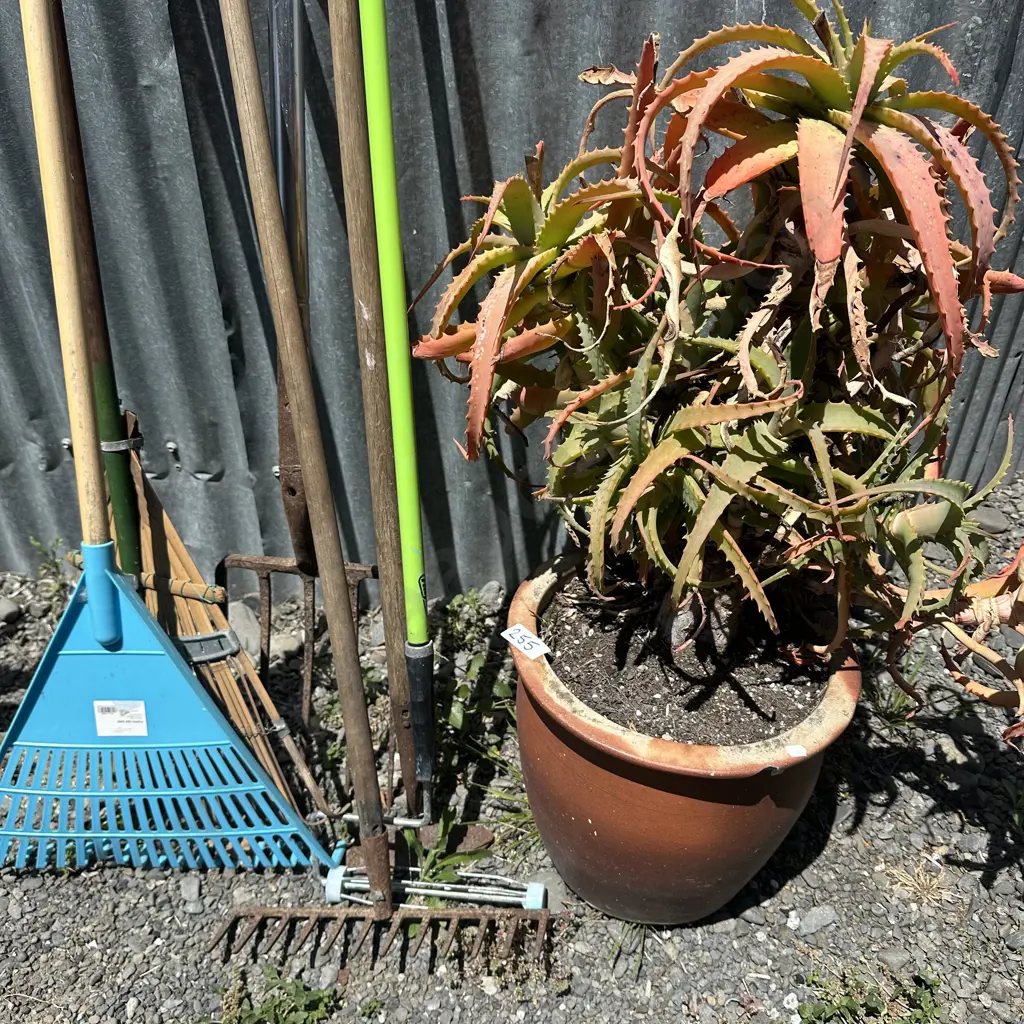 potted succulent and garden tools Image 1++