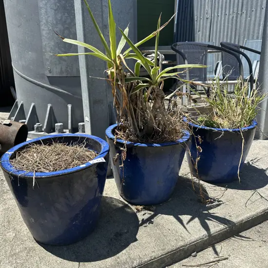 3 Blue planters and contents