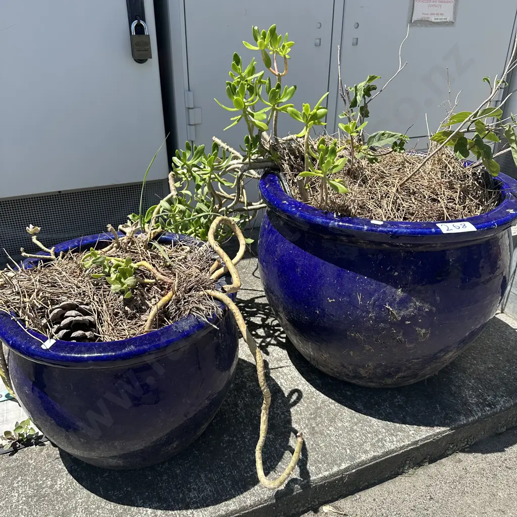 2 large Blue planters Image 1++