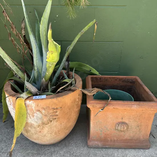 2 terracotta planters