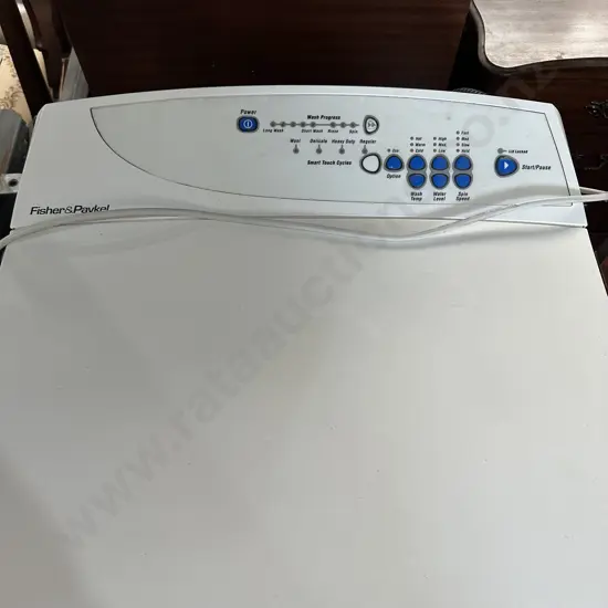 F & P auto washer