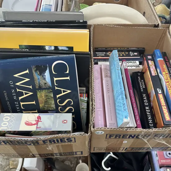 Two boxes of books.