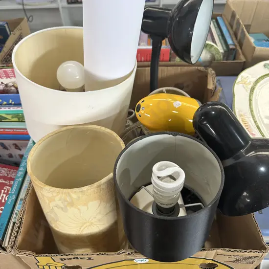 Box of lamps and shades plus Elton John Lithograph and certificate.