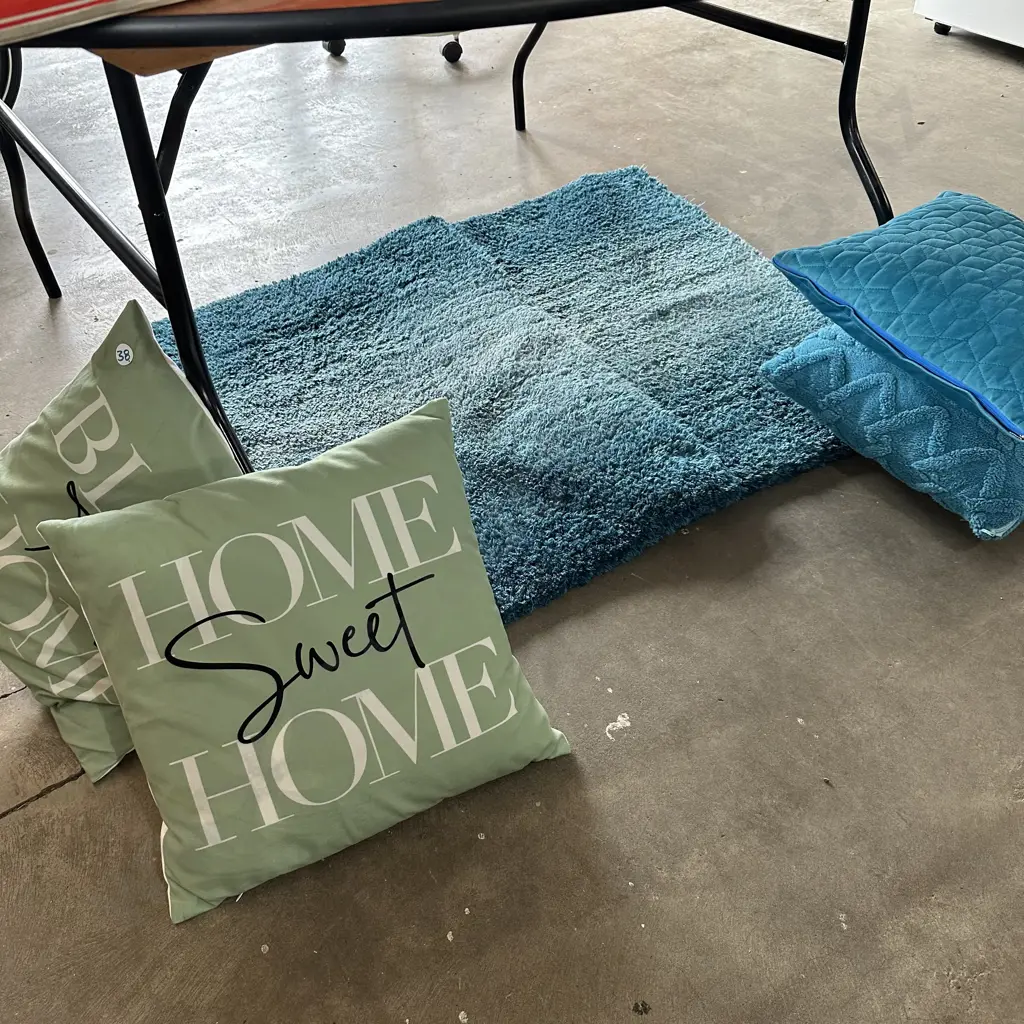Pr mats and 4 cushions plus dinning chair Image 1++