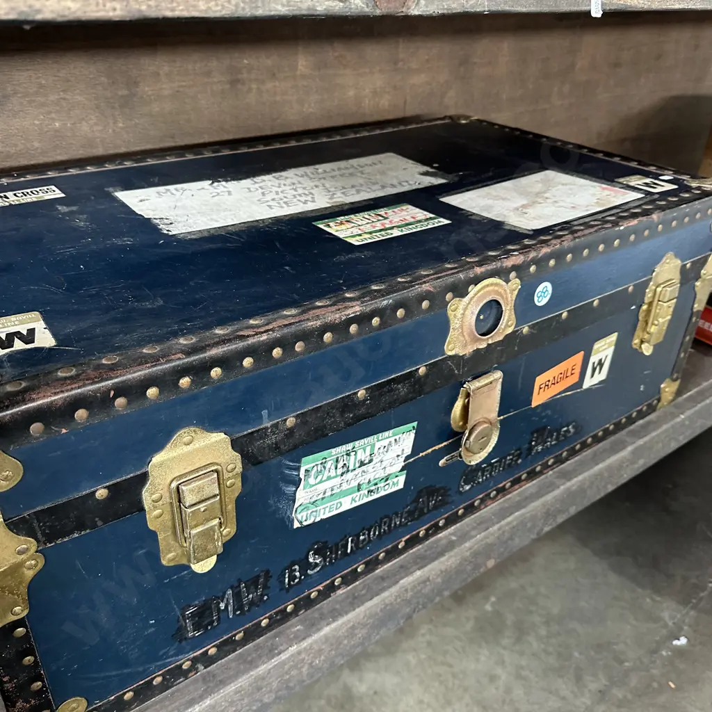 travel trunk Image 1++