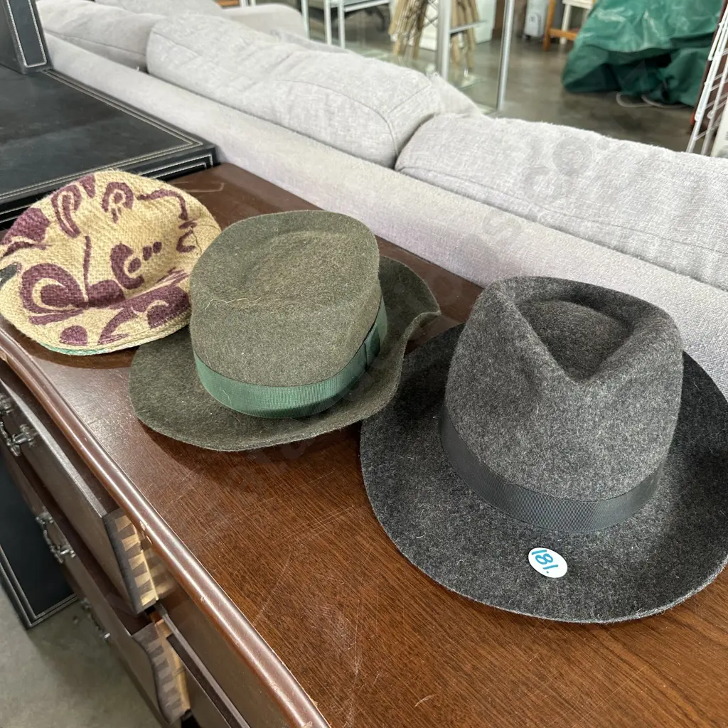 Two felt hats plus other hat. Image 1++