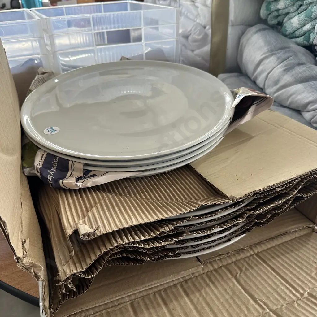 Eleven white pizza plates 37.5 cm - as new Image 1++