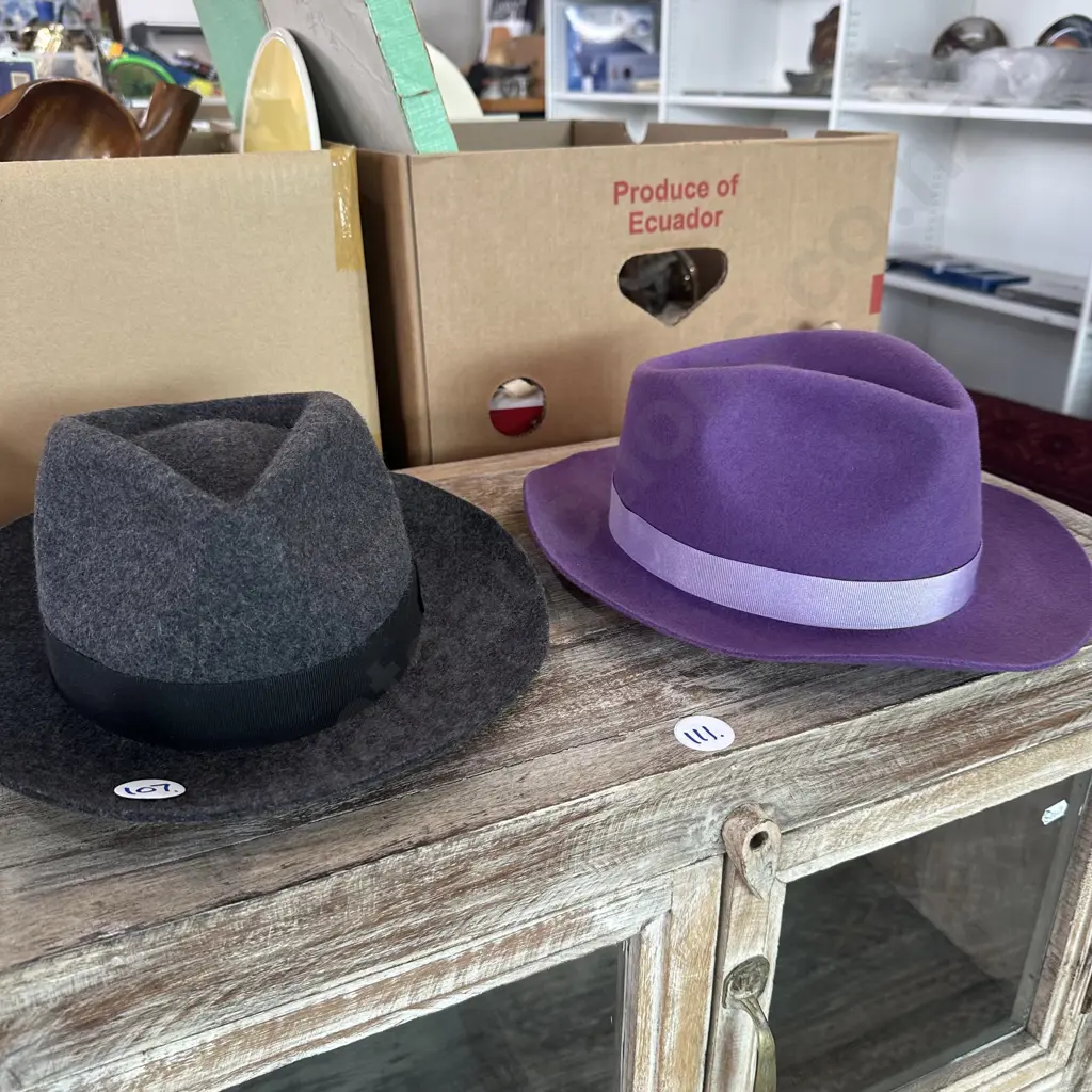 2 new felt hats Image 1++