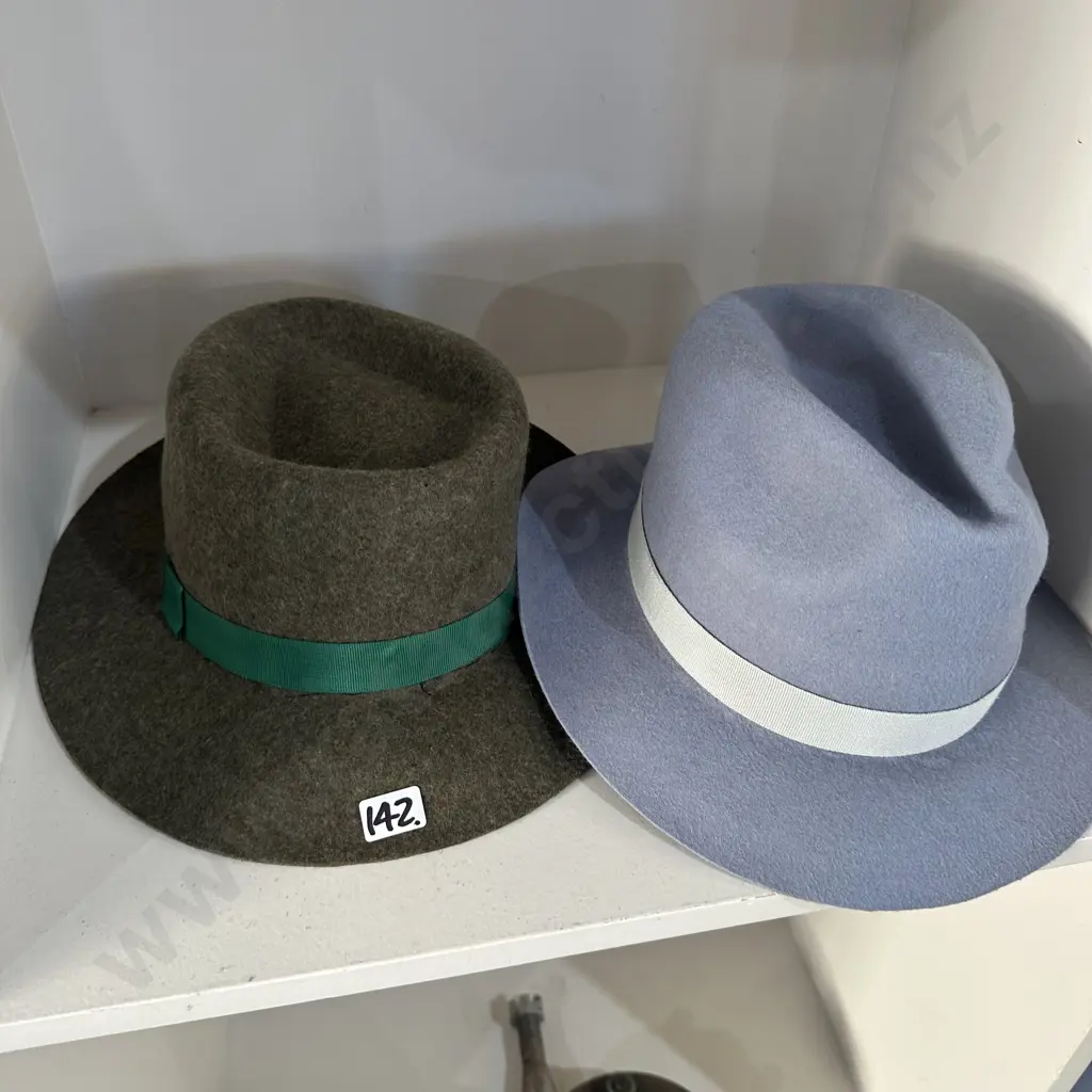 2 new felt hats Image 1++