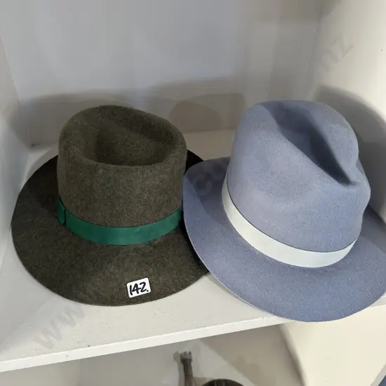 2 new felt hats