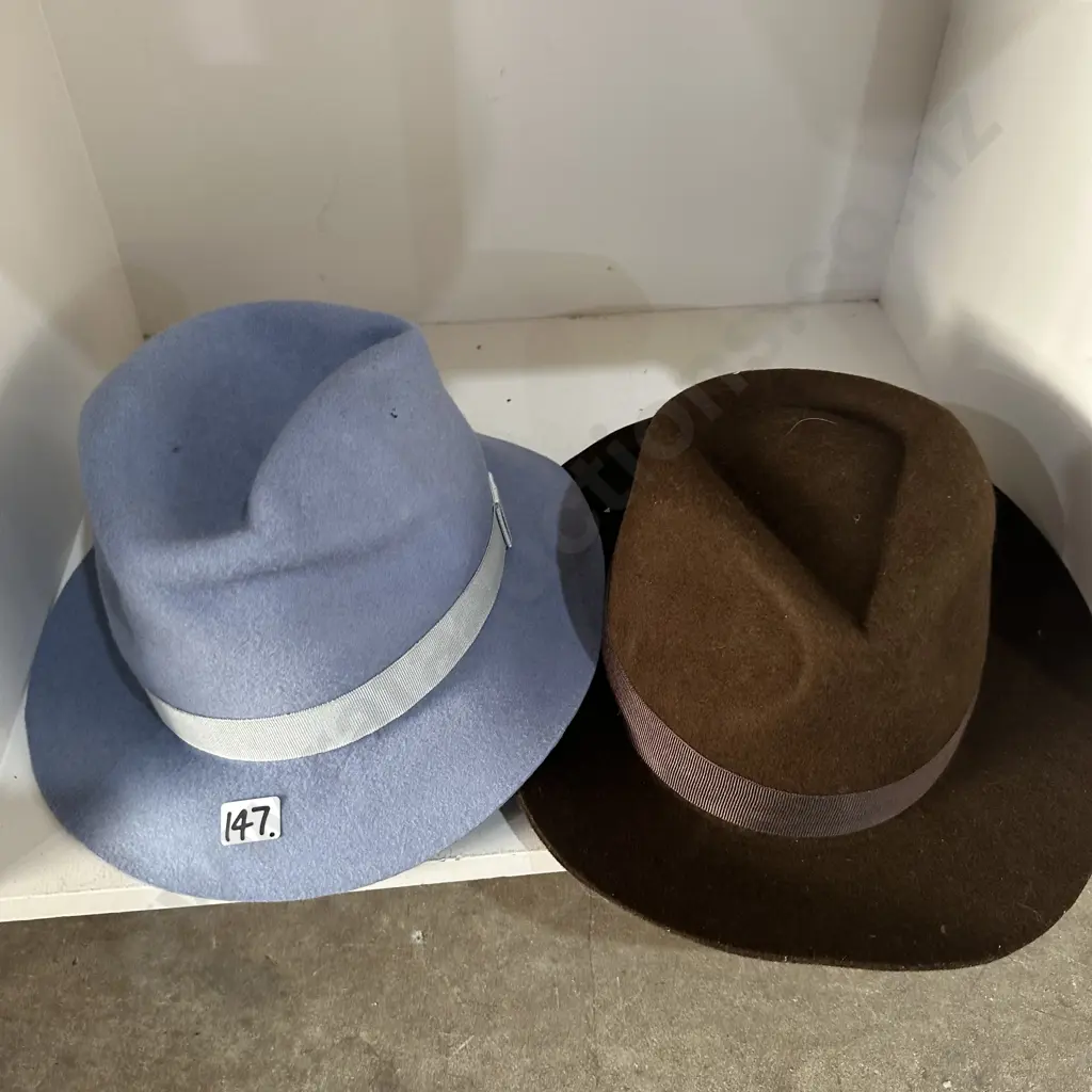 2 new felt hats Image 1++