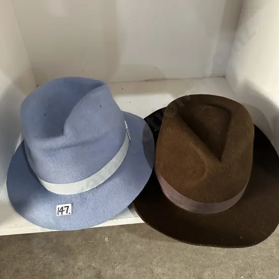 2 new felt hats