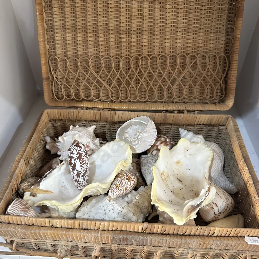 Pr of sewing baskets plus shell collection and casters Image 1++