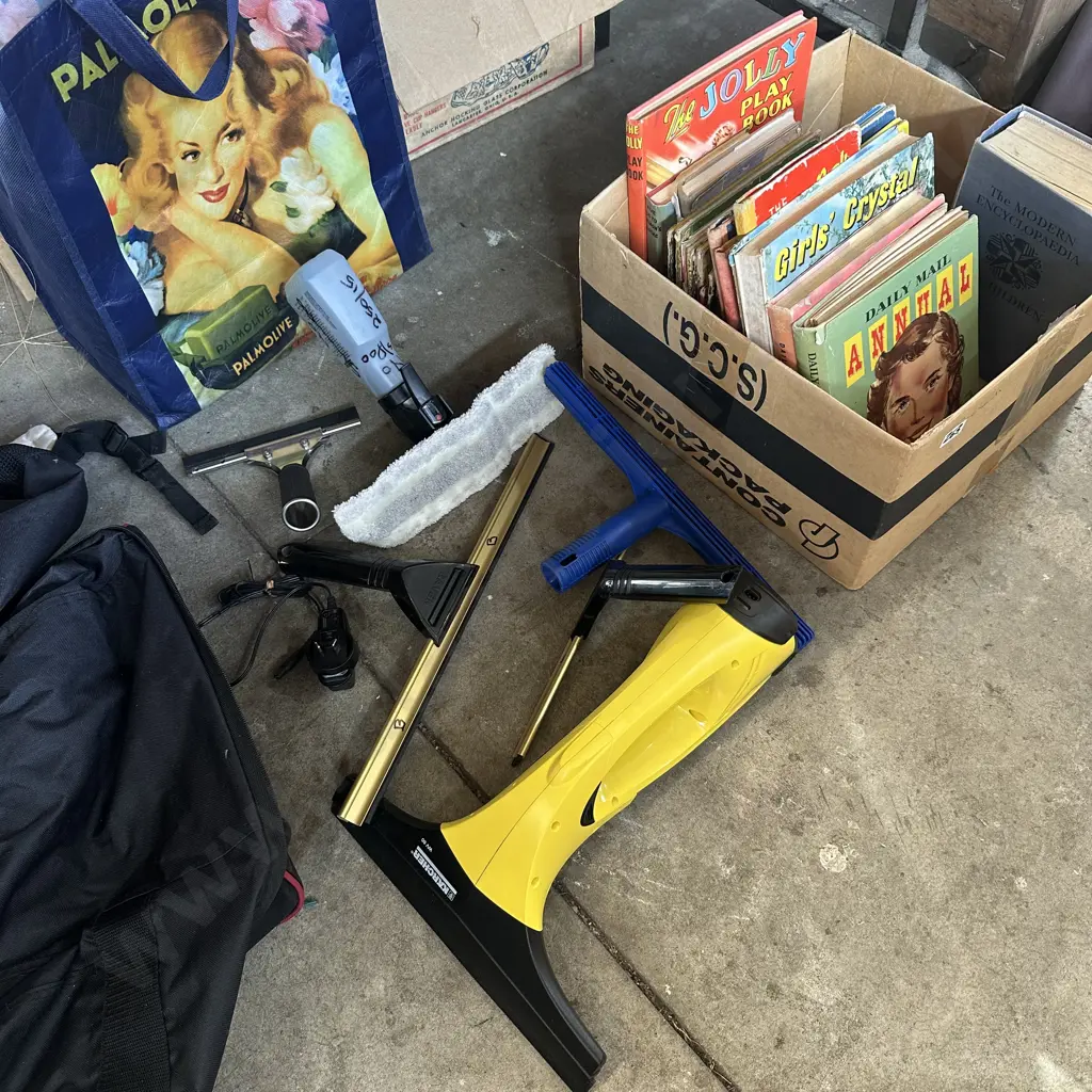 Box of old childrens books, bags and Karcher window cleaner. Image 1++