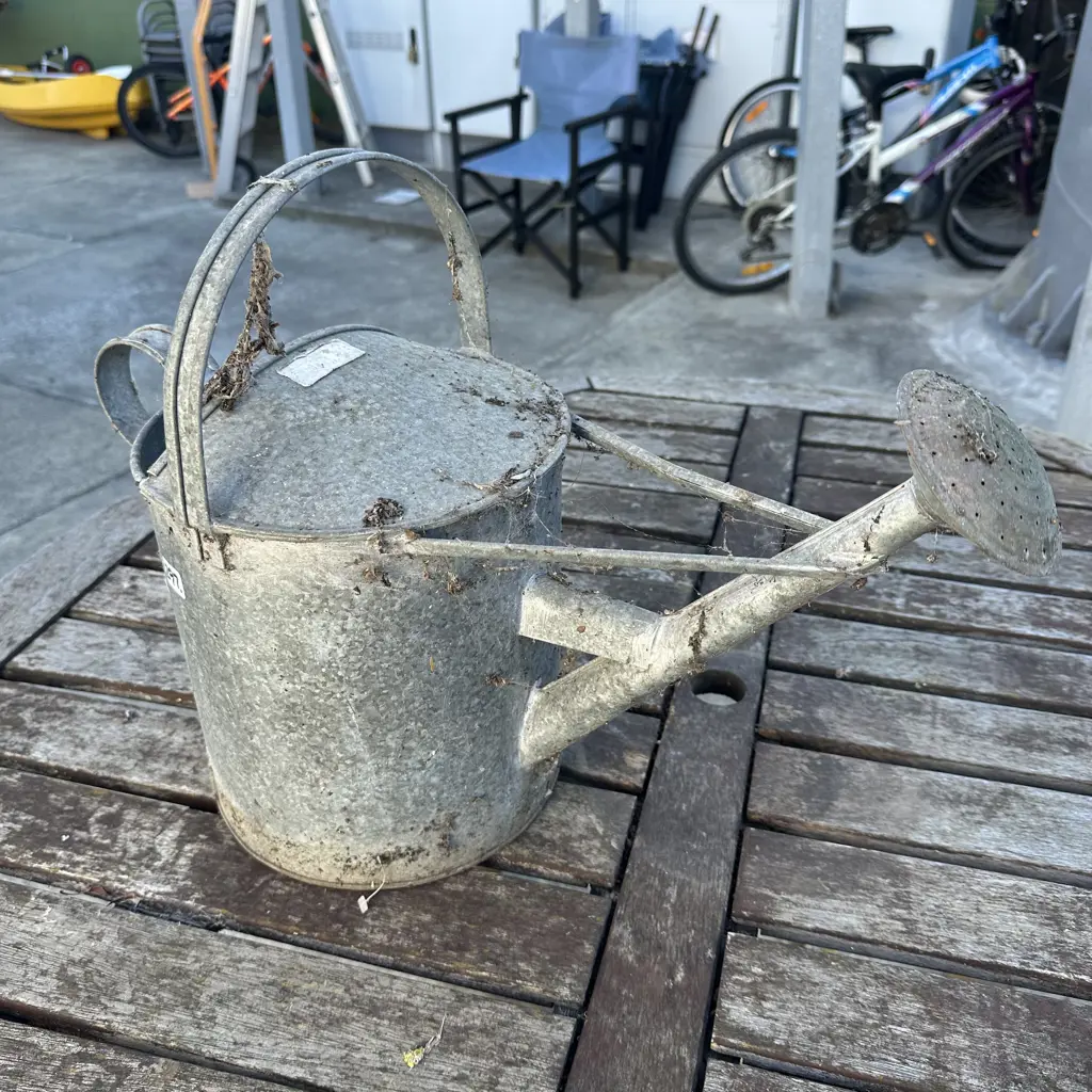 original water can Image 1++