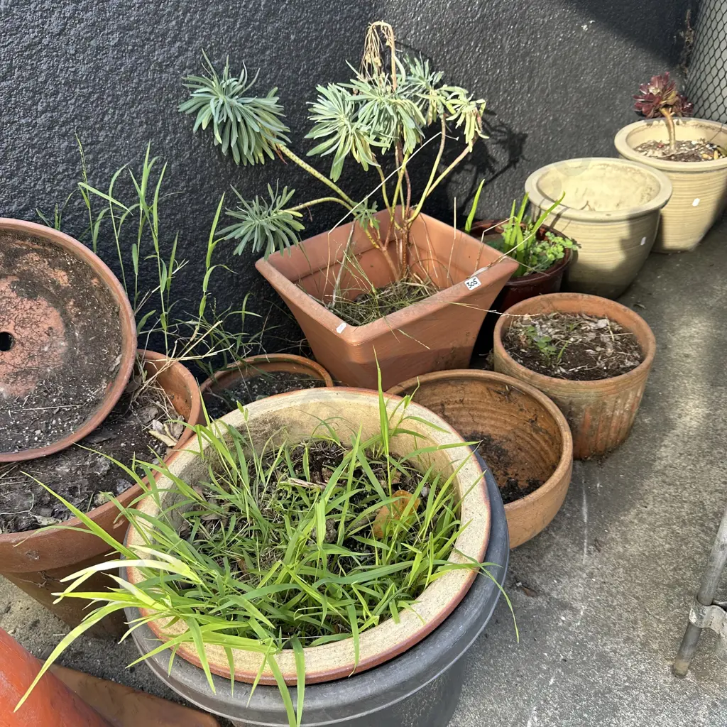 large lot of planters inc pr Image 1++